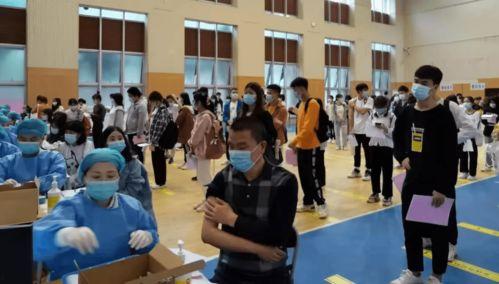 嘉明实机爆料最新消息,揭秘手机行业新动态  第3张 嘉明实机爆料最新消息,揭秘手机行业新动态  第3张