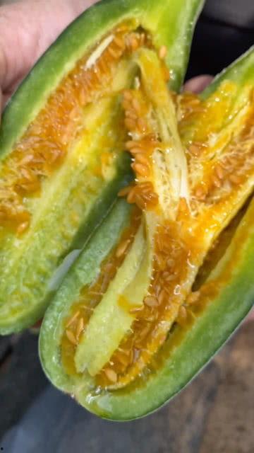 网红小炸串吃瓜视频大全,趣味横生的美食娱乐盛宴  第3张 网红小炸串吃瓜视频大全,趣味横生的美食娱乐盛宴  第3张