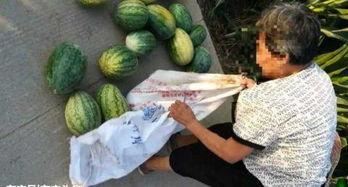 金华最新吃瓜事件爆料,揭秘神秘幕后真相  第3张 金华最新吃瓜事件爆料,揭秘神秘幕后真相  第3张