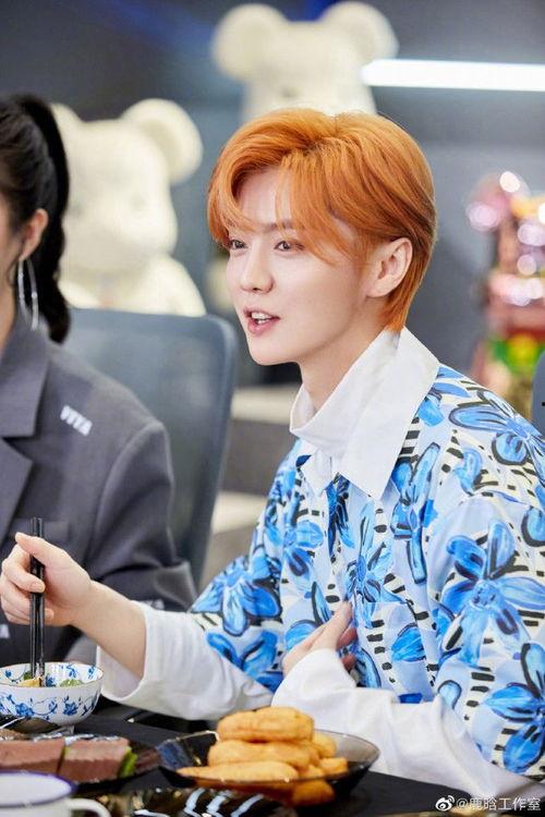 吃瓜娱乐圈鹿晗,娱乐圈的瓜田,他的成长与蜕变  第3张 吃瓜娱乐圈鹿晗,娱乐圈的瓜田,他的成长与蜕变  第3张