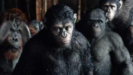 猿族崛起2在线观看,进化之战在线观影指南  第2张 猿族崛起2在线观看,进化之战在线观影指南  第2张