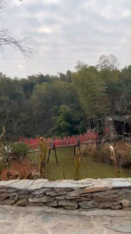 花溪新闻爆料最新,揭秘当地最新热点事件  第2张 花溪新闻爆料最新,揭秘当地最新热点事件  第2张